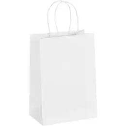 Animated Digital Print Mini Paper Gift Bag 200gsm Unbranded